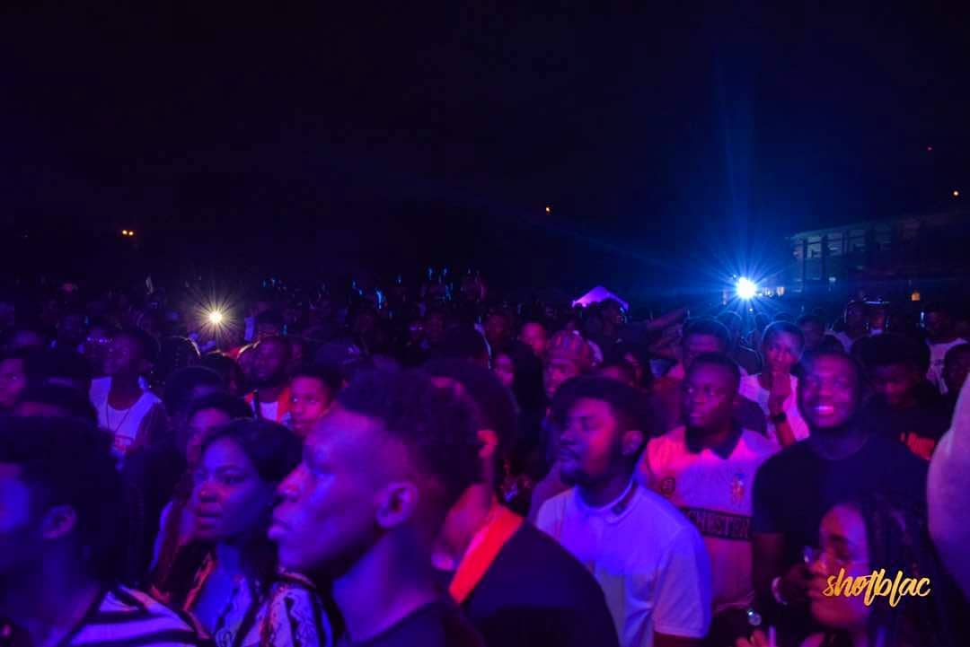 Crowd at TCM Festival as Culture Fest lineup drops